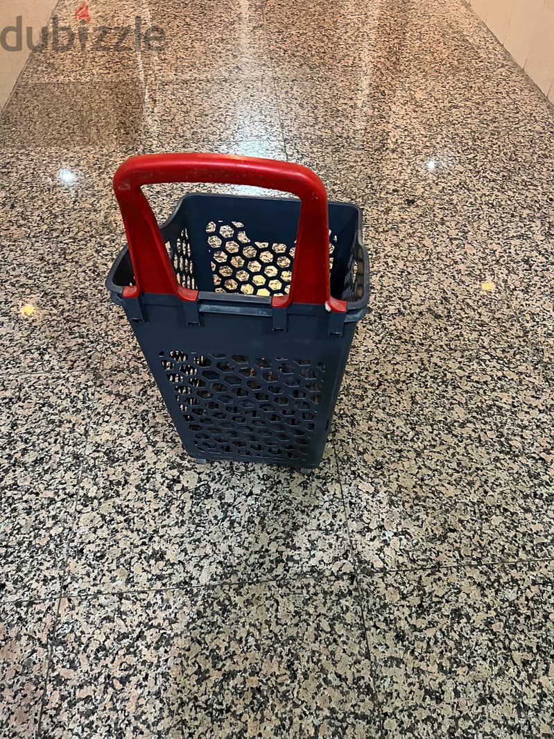 Shopping Plastic Basket 1