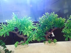 Aquarium decorations for sale 0