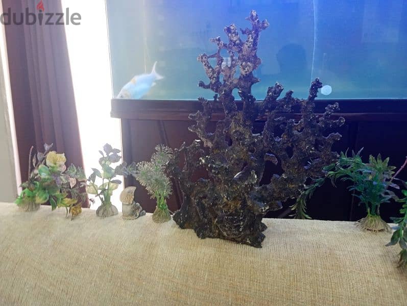 Aquarium decorations for sale 4