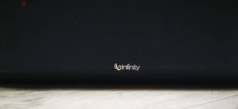 INFINITY Senter speaker 1