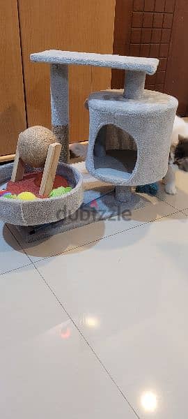 cat house and toys - ,بيت قطط والعاب 1