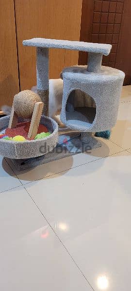 cat house and toys - ,بيت قطط والعاب 2