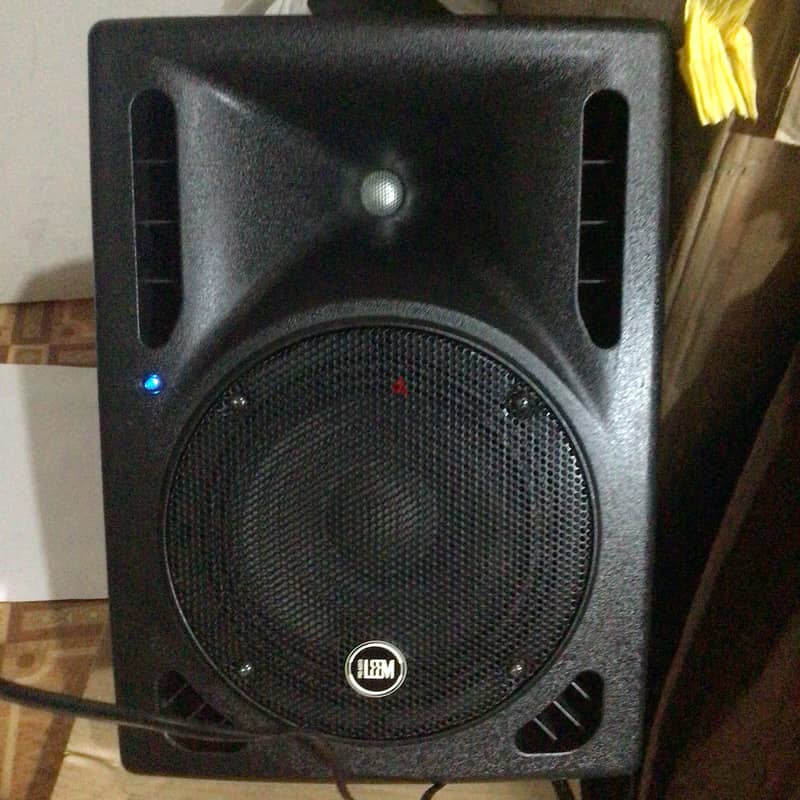 Pro audio Leem powered speaker with free TOA DM-1300 microphone 4