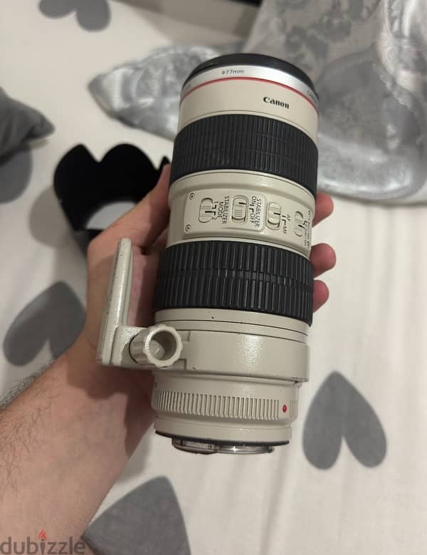 canon 70-200mm f2.8 1