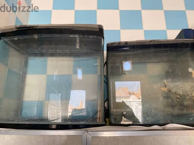 Two fish tanks for Sale