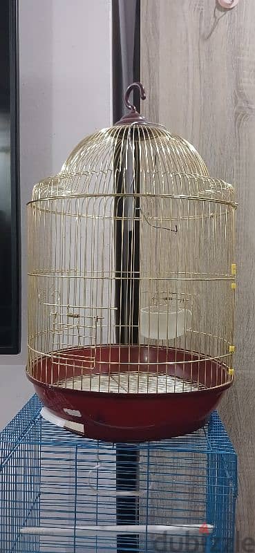 birds cage 2