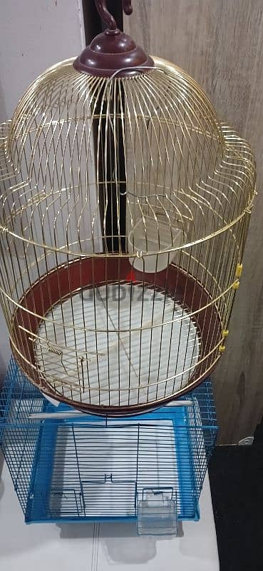 birds cage 3