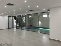 Basement floor with private swimming pool 0