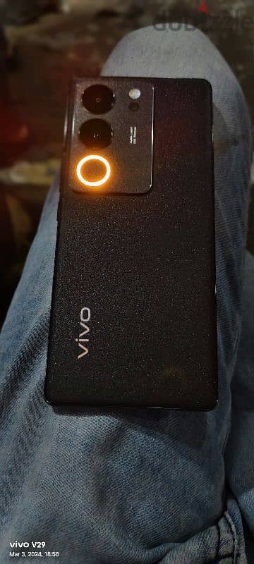 vivo