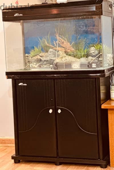 fish tank with stand