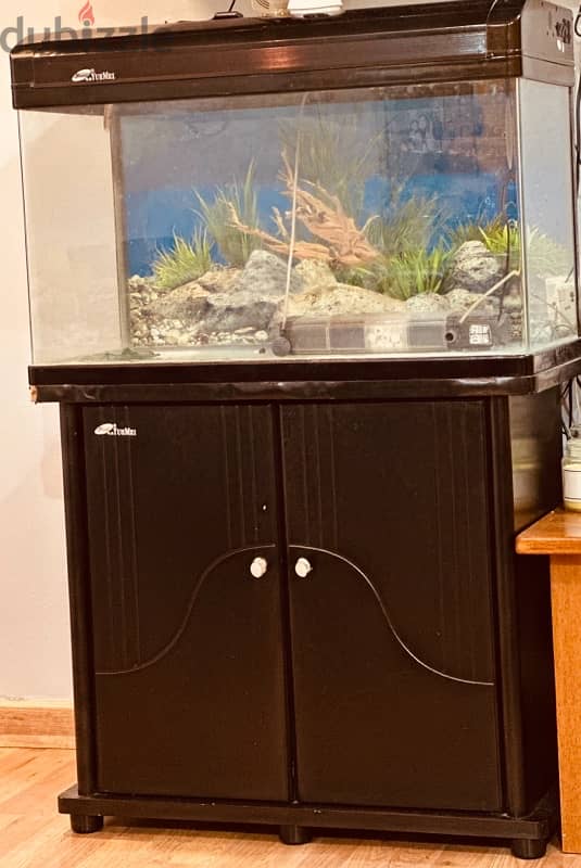 fish tank with stand 0