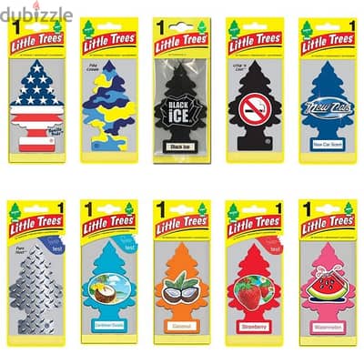 Air Freshners Assorted