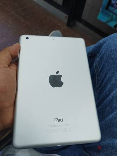 iPad