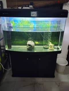 Bug Aquarium for sale with all accessories 0