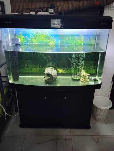 Bug Aquarium for sale with all accessories