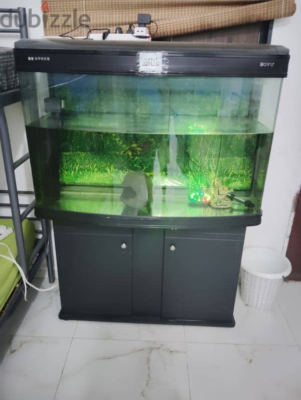 Bug Aquarium for sale with all accessories 1