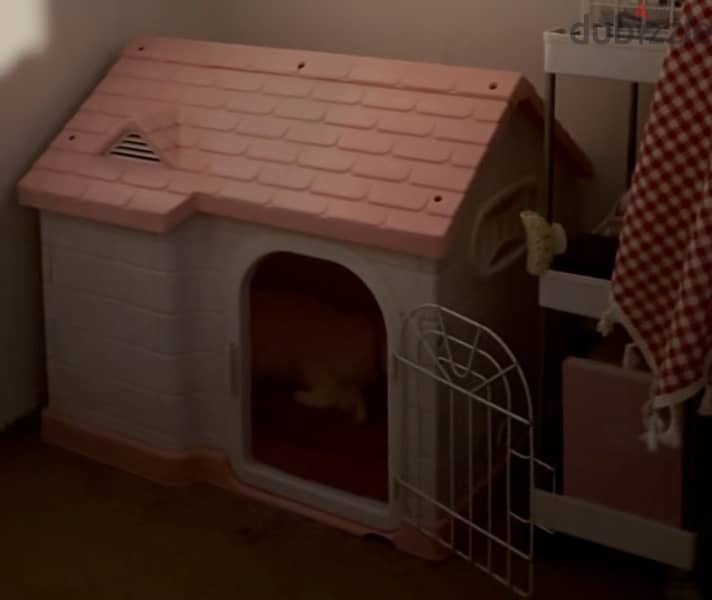 Pet House 1