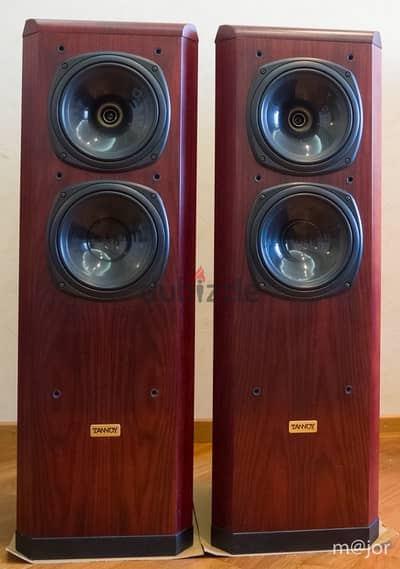 Tannoy Definition D500 Audiophile Speaker