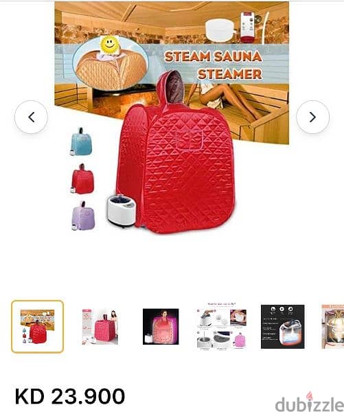 Electric steam Sauna 2