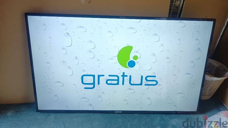 gratus 1