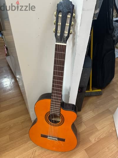 addario semi electric guitar