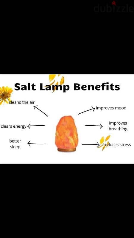 Himalayan Salt lamps 4