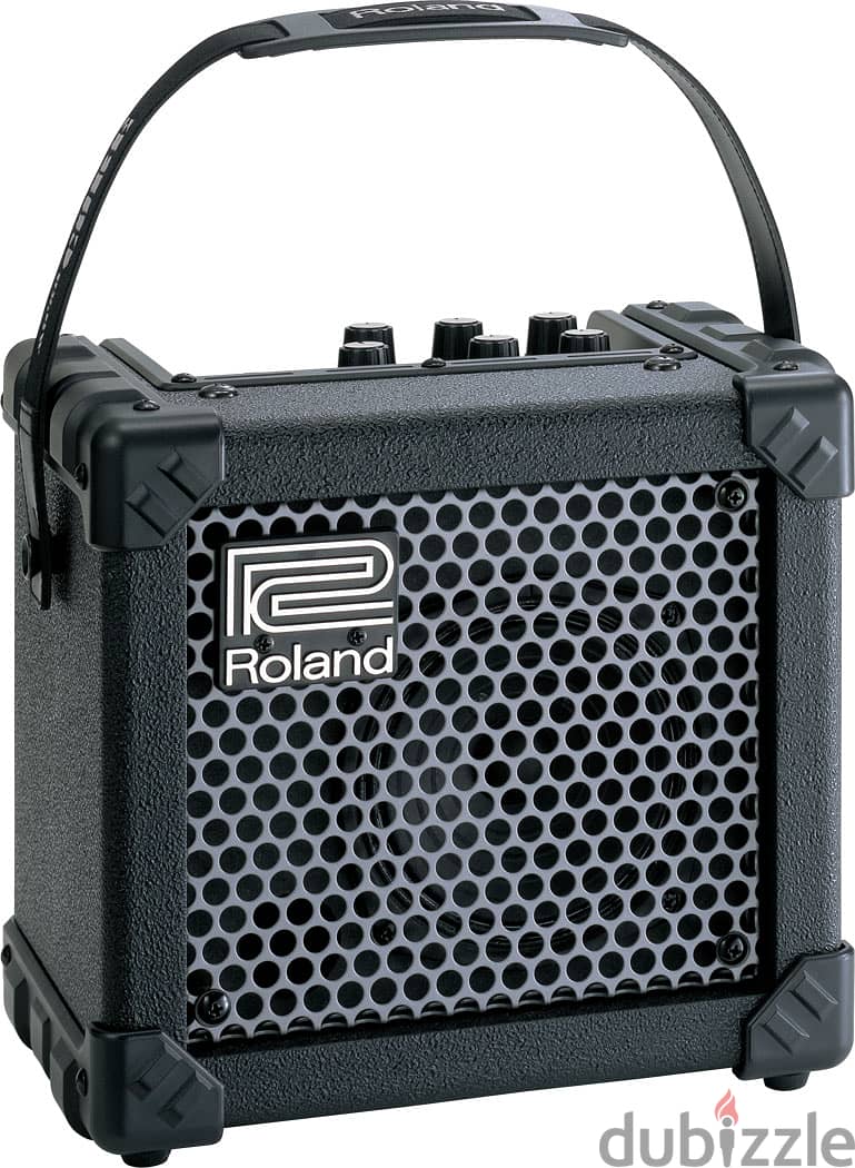 Roland Microcube Guitar Amp Speaker 0