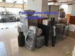 Professional Indian Packers and Movers-66266051 1