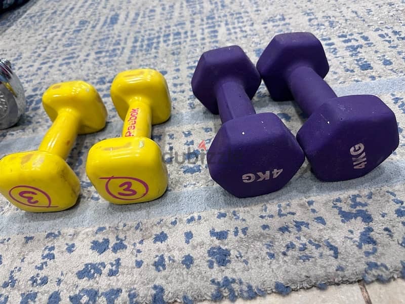 Dumbell adustable 1