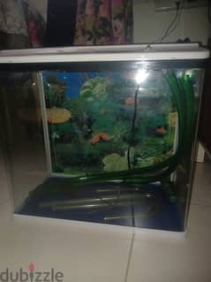 Fish tank for sale 0