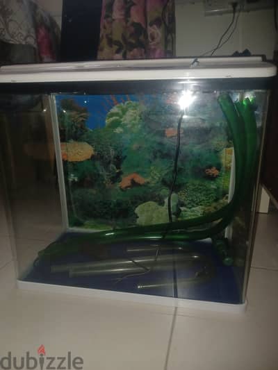 Fish tank for sale