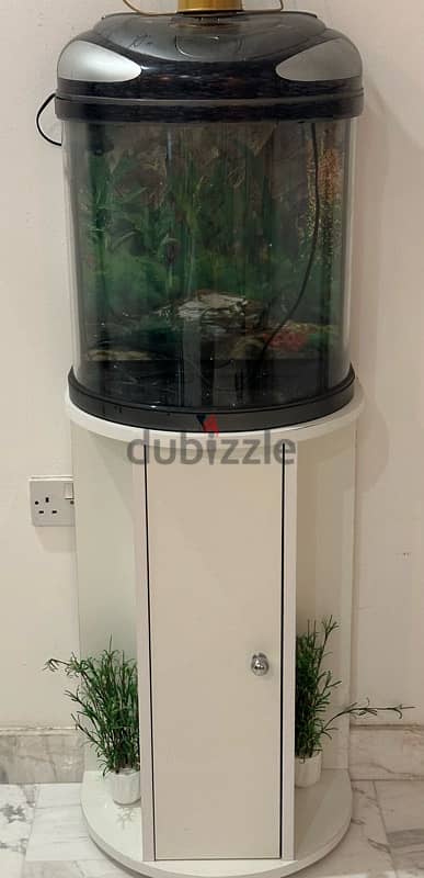 Aquarium with stand