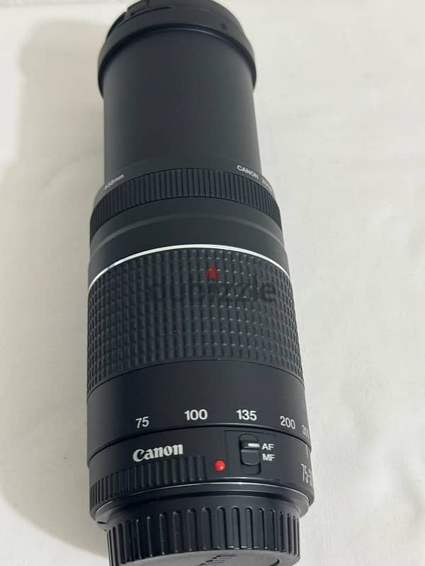 canon and sigma lens 2