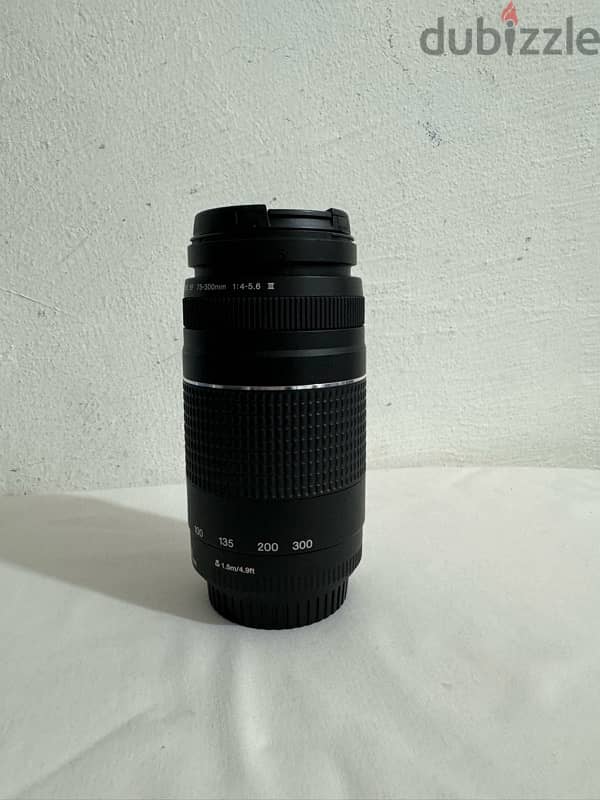 canon and sigma lens 4