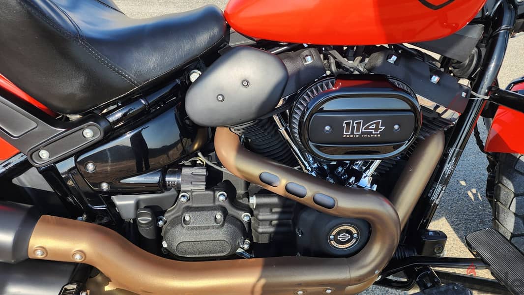 Harley Davidson FATBOB 2020 for sell 5