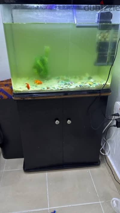 Fish tank  only 12 kd