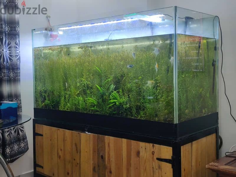 Aquarium size 150x60x80 cm 3