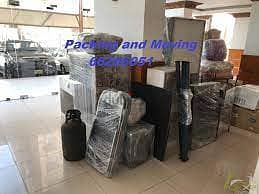 Professional Indian Packers and Movers-66266051 1