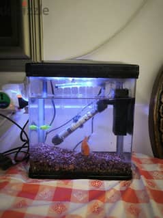 Aquarium for sale 0