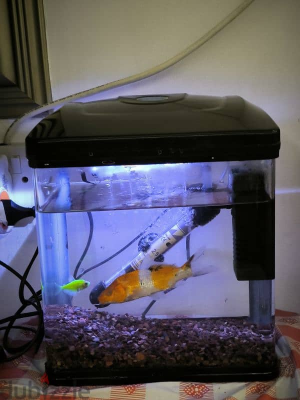 Aquarium for sale 2