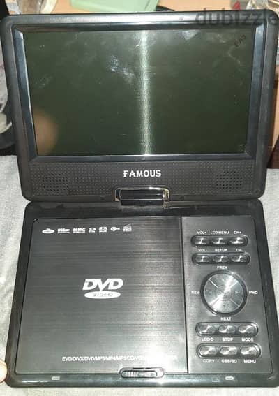 Portable video player