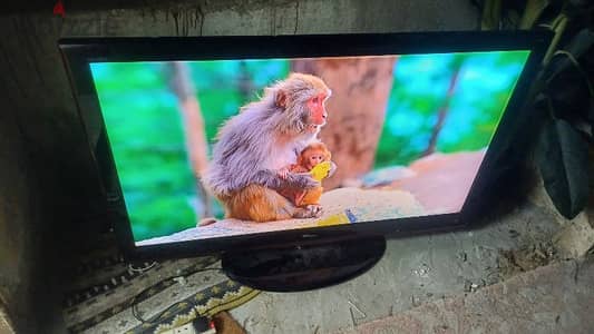 wansa 55 inch lcd tv