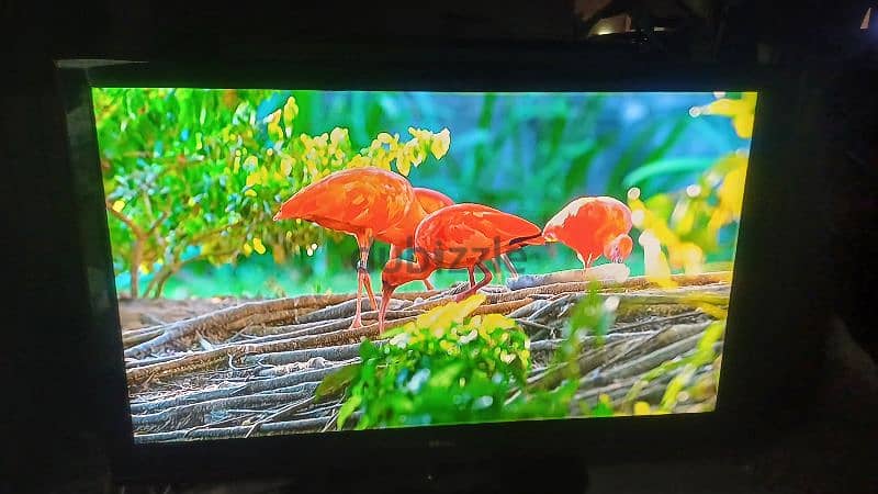 wansa 55 inch lcd tv 3