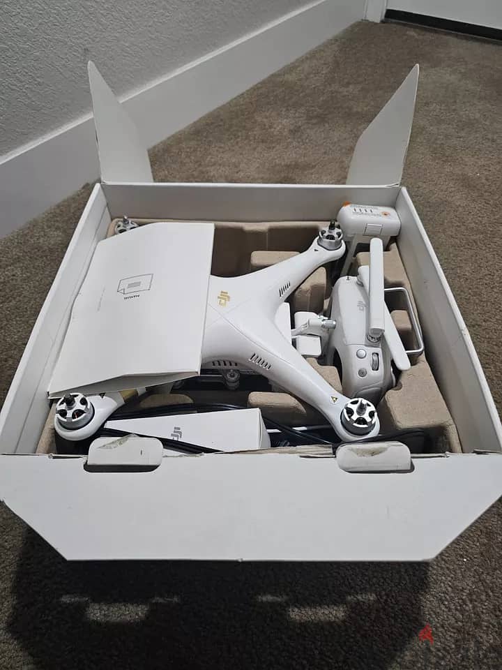 DJI Phantom 3 Professional 1