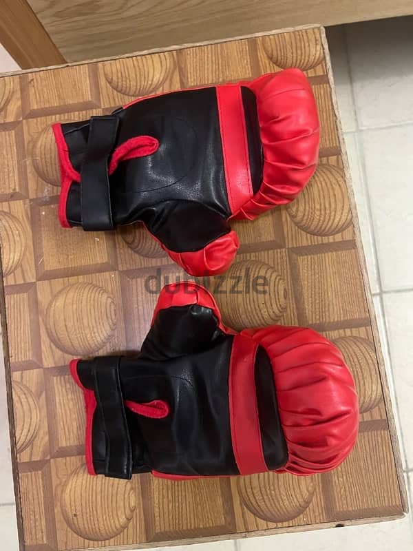 punching bag and gloves 3