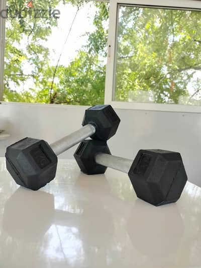 dumbbell pair all weight available starting 6kd new only