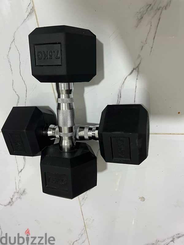 dumbbell pair all weight available starting 6kd new only 13