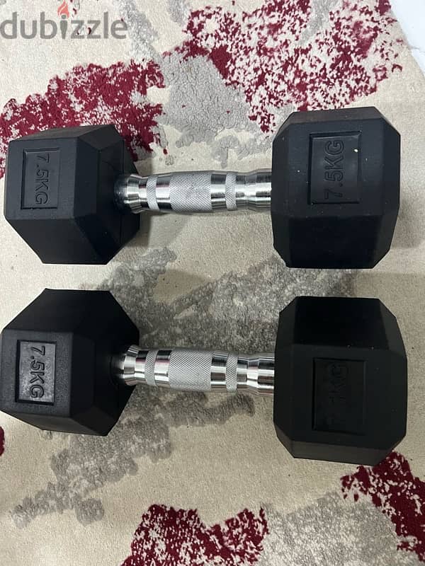 dumbbell pair all weight available starting 6kd new only 17