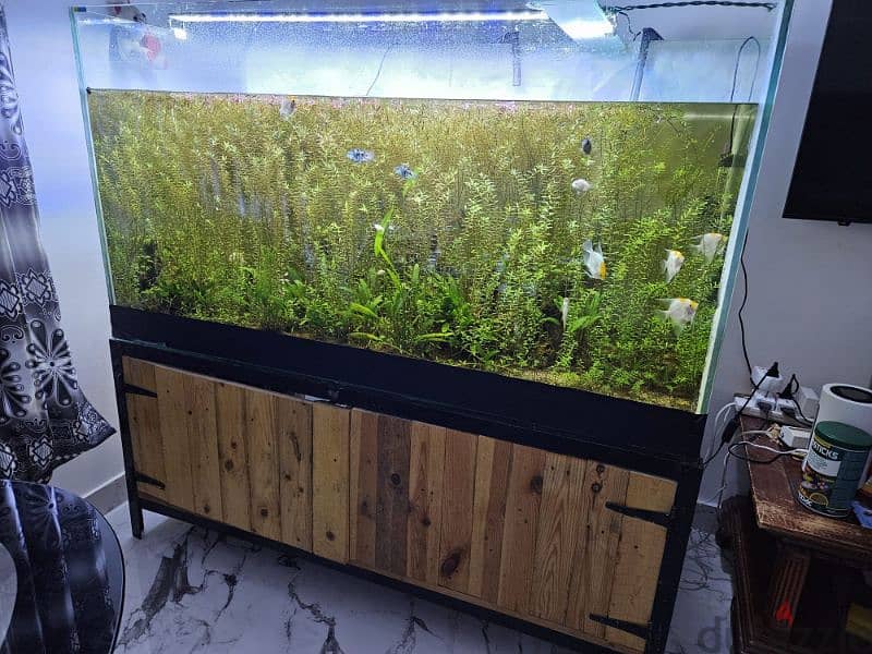 sale : Aquarium size 150x60x80 cm 3