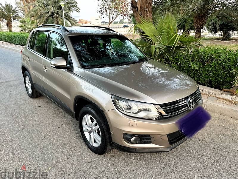 Volkswagen Tiguan 2012 8